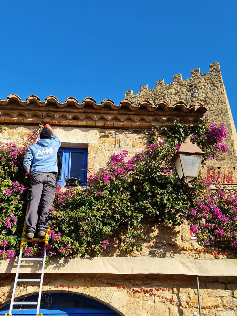 c439eb4c fe66 448c a342 7439efa099f8